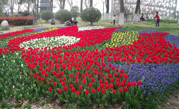 上海鲜花港门票价格_上海鲜花港_上海欢乐谷门票(2)